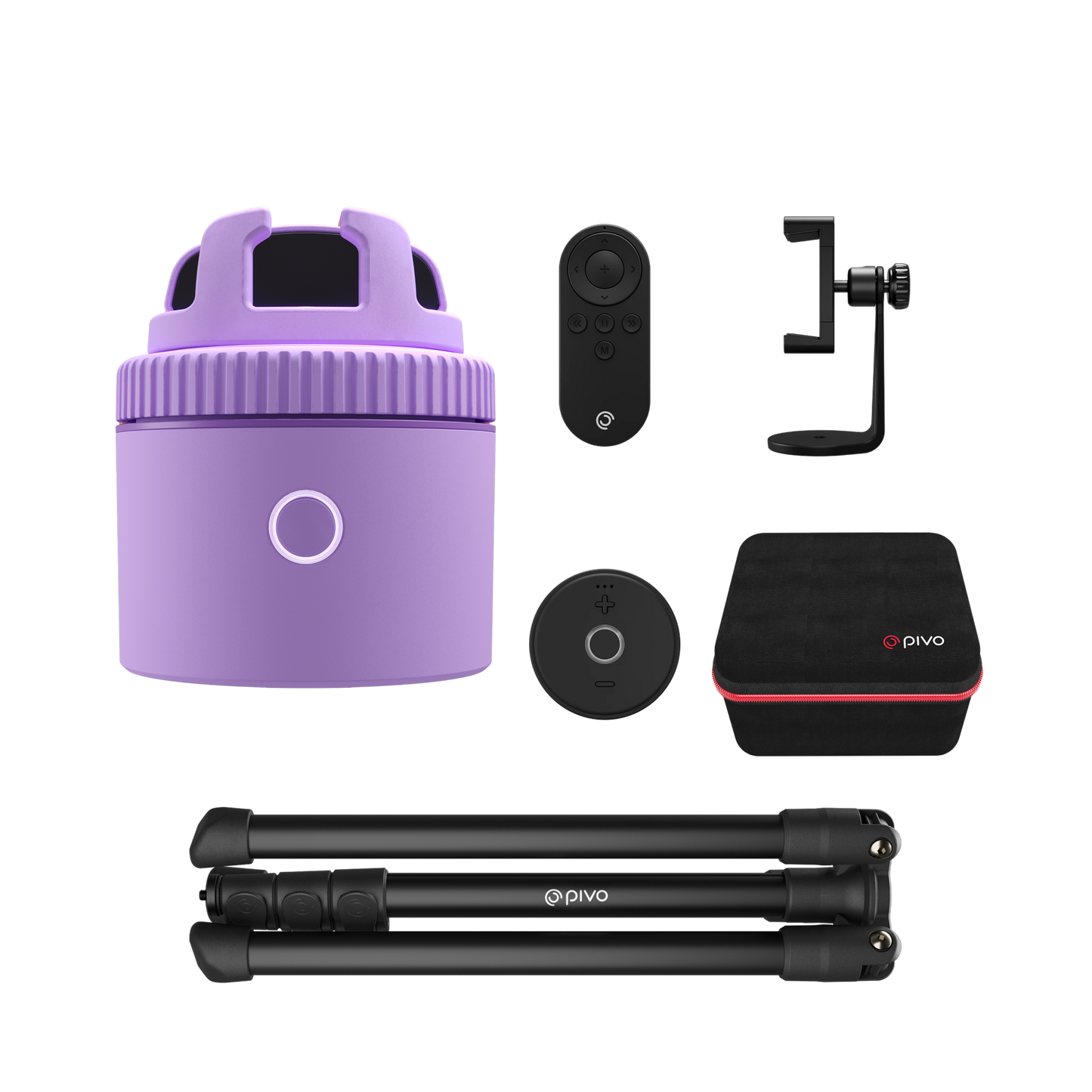 Purple / Equestrian Virtual Lesson Pack