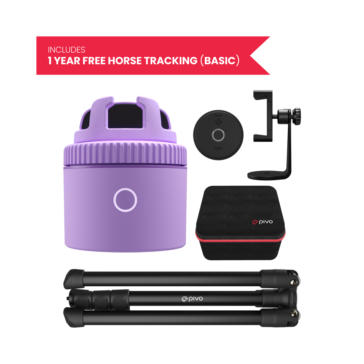 Purple / Equestrian Virtual Lesson Pack