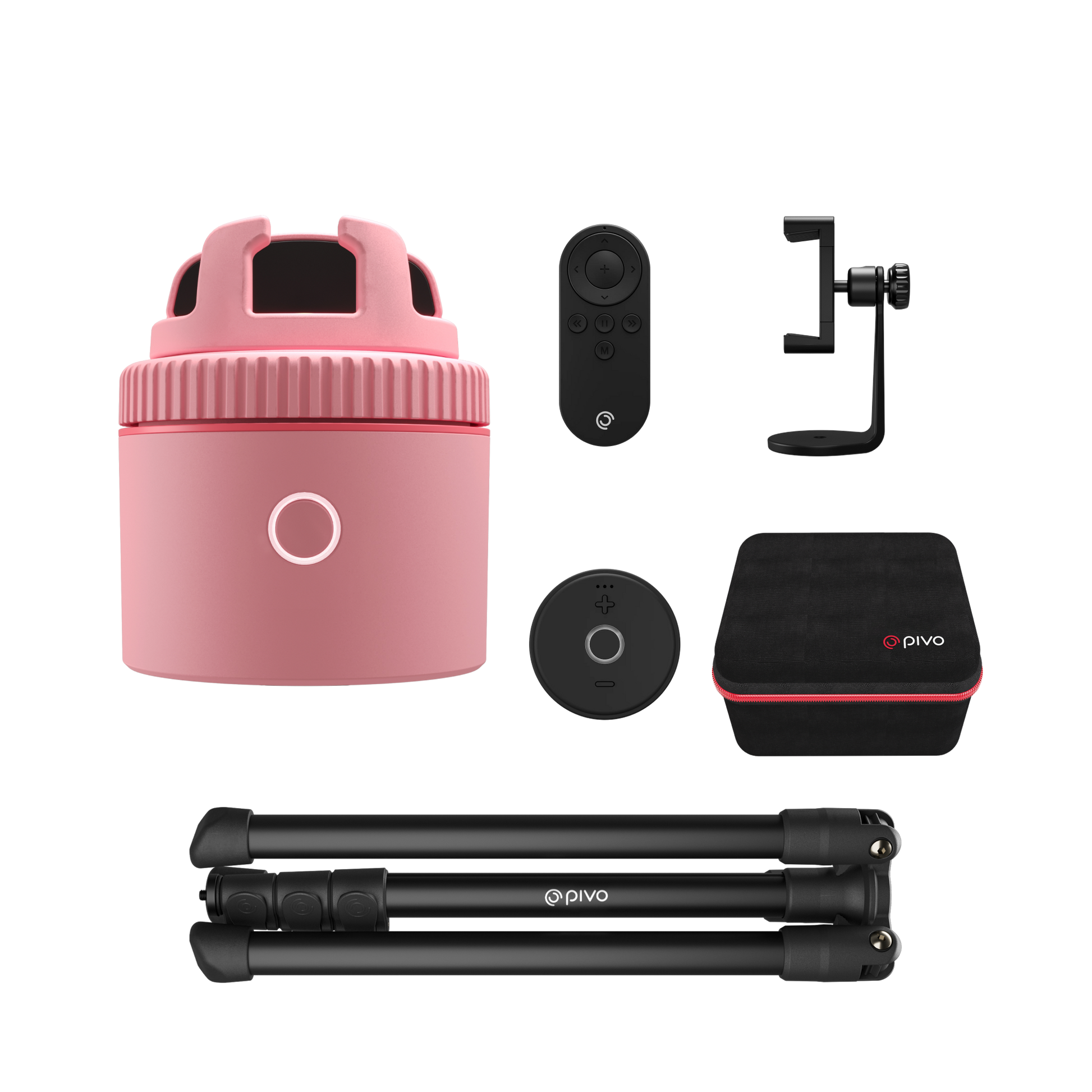 Pink / Equestrian Virtual Lesson Pack
